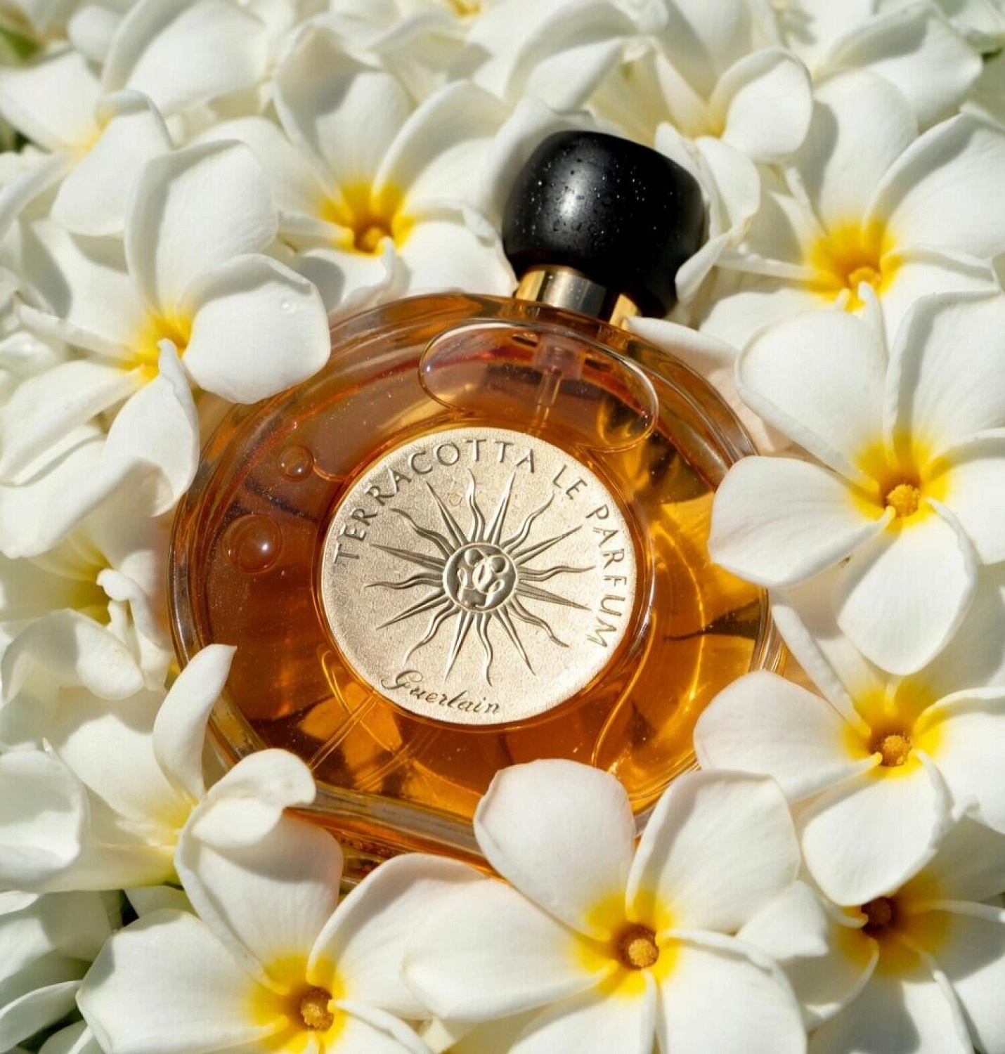 Guerlain Terracotta Le Parfum