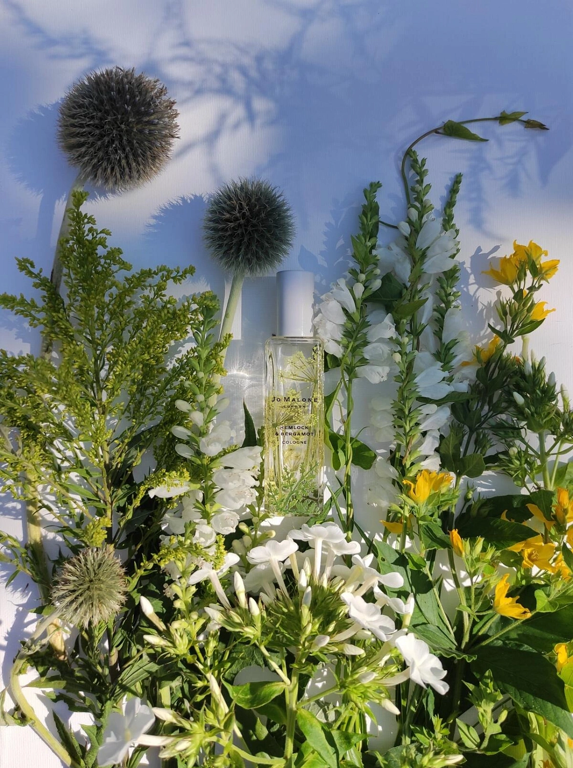 Jo Malone Hemlock & Bergamot