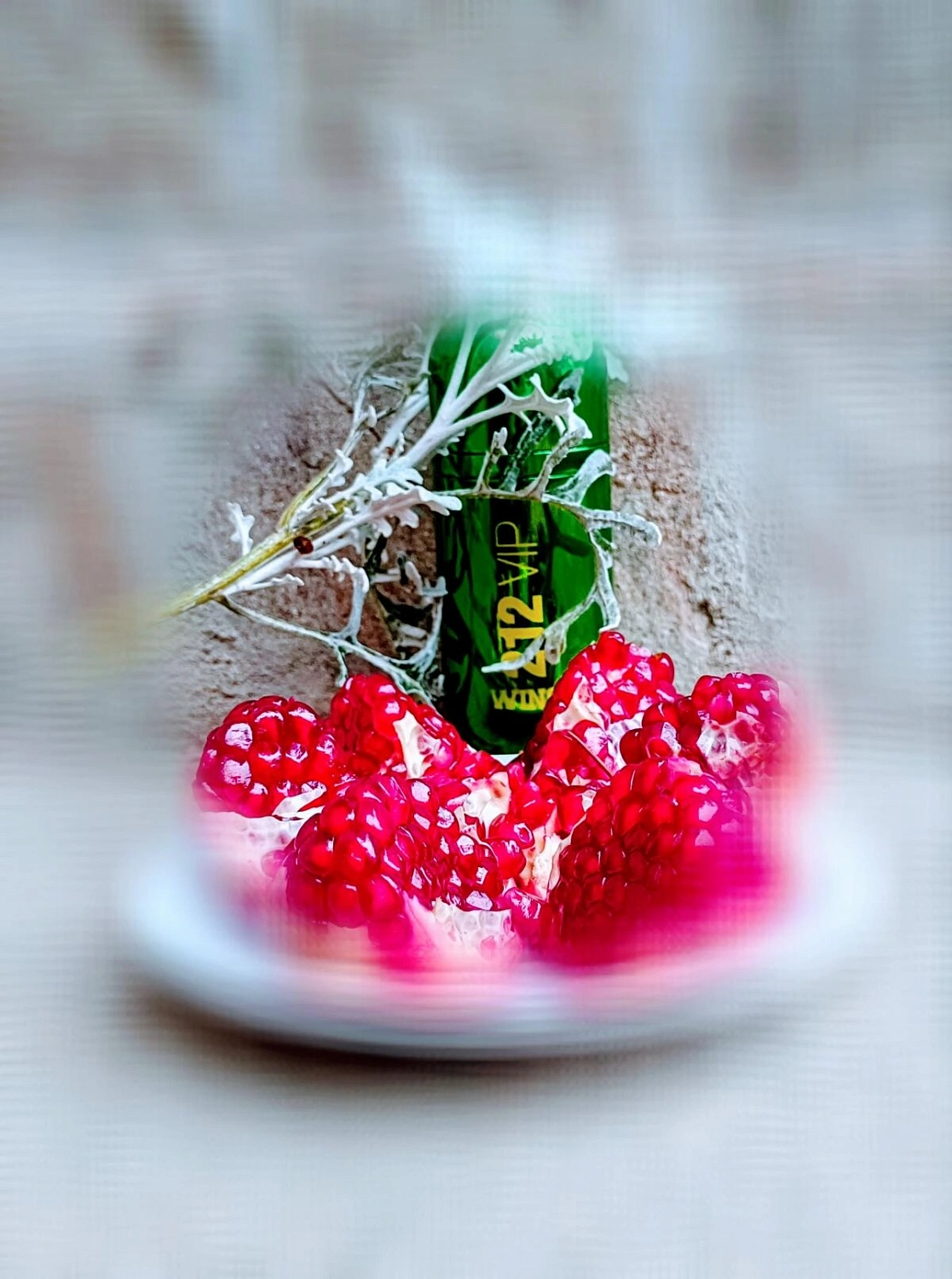 CAROLINA HERRERA 212 VIP Wins