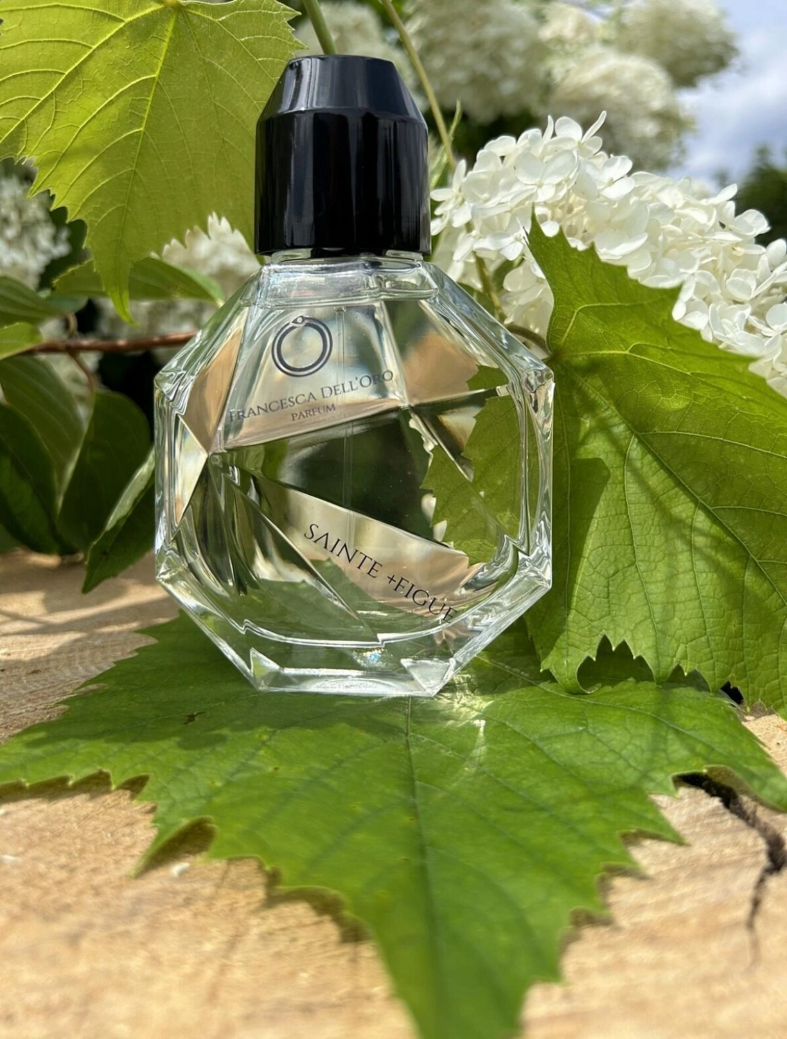 Francesca dell'Oro Sainte +Figue