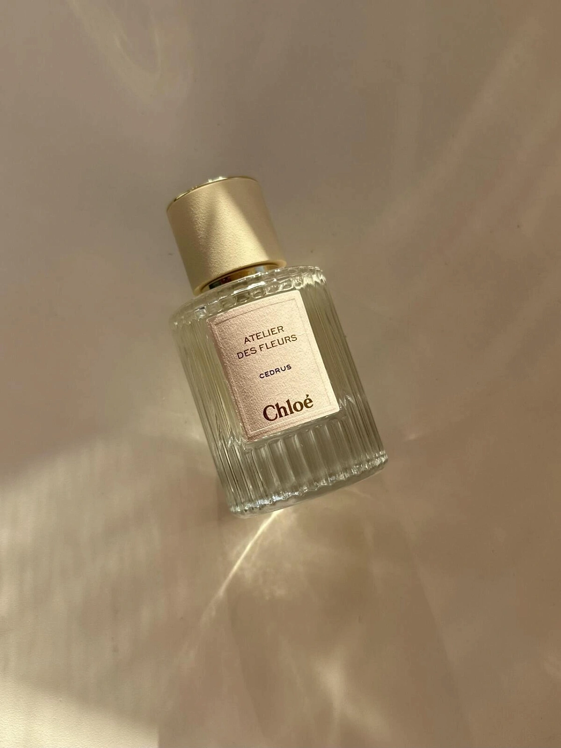 Chloe Atelier Des Fleurs Cedrus