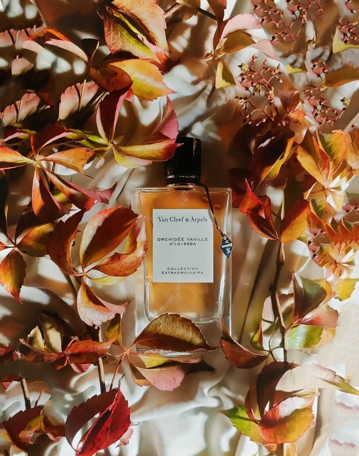 Van Cleef & Arpels Collection Extraordinaire Orchidee Vanille