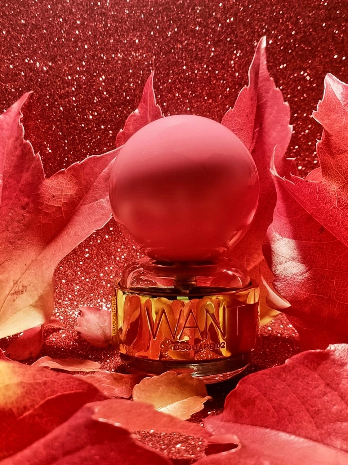 DSQUARED2 Want Pink Ginger