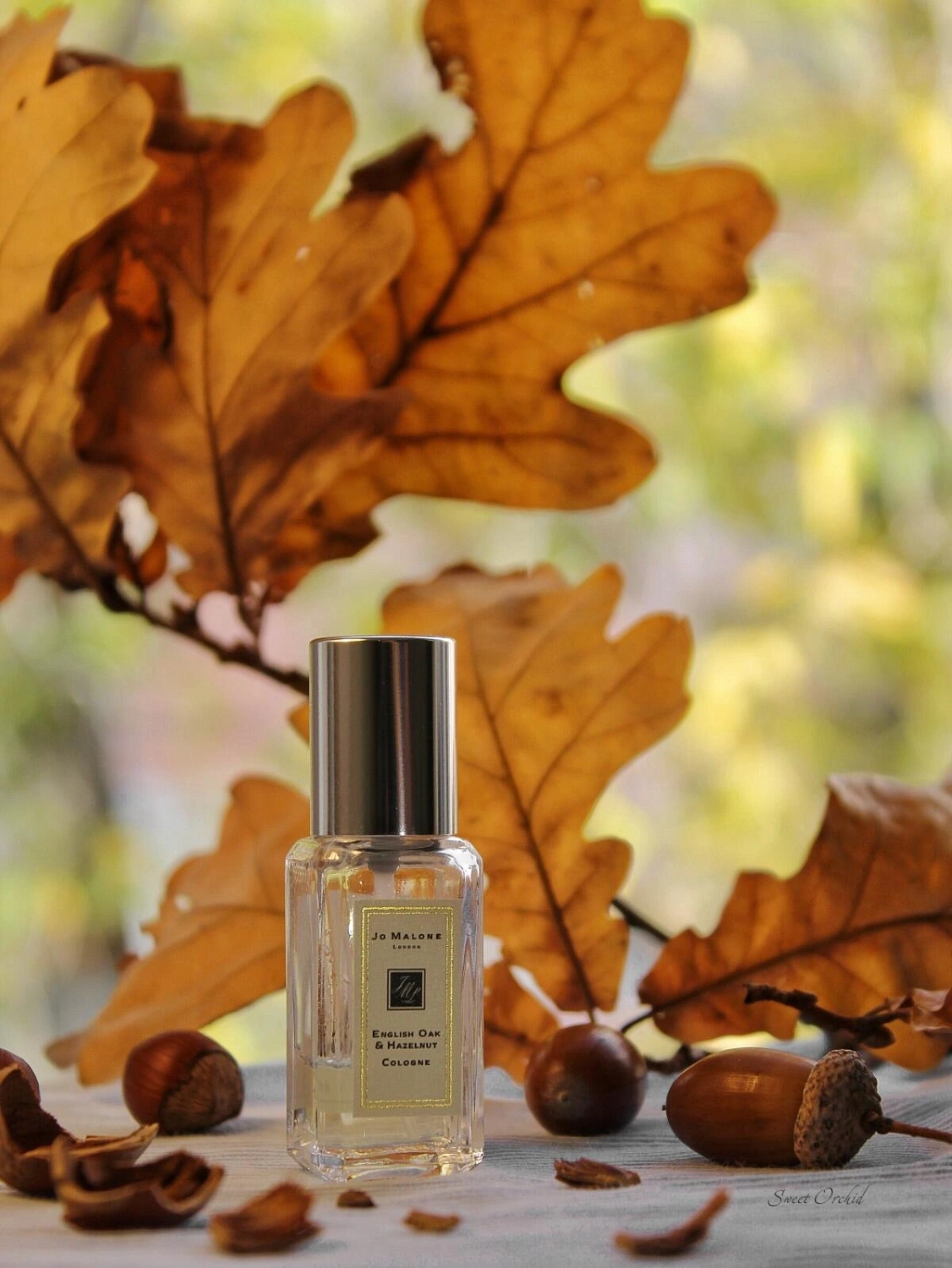 Jo Malone English Oak & Hazelnut