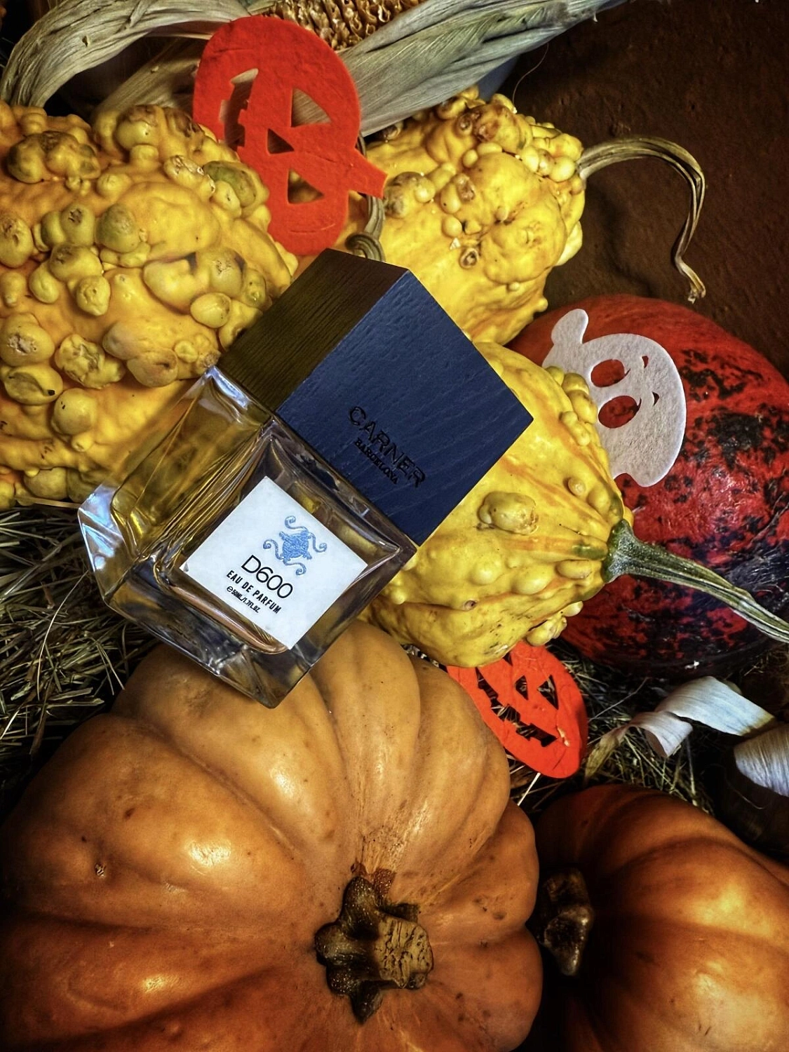 Carner Barcelona D600