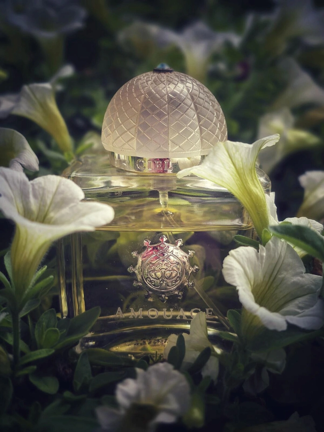 Amouage Ciel Amouage Ciel