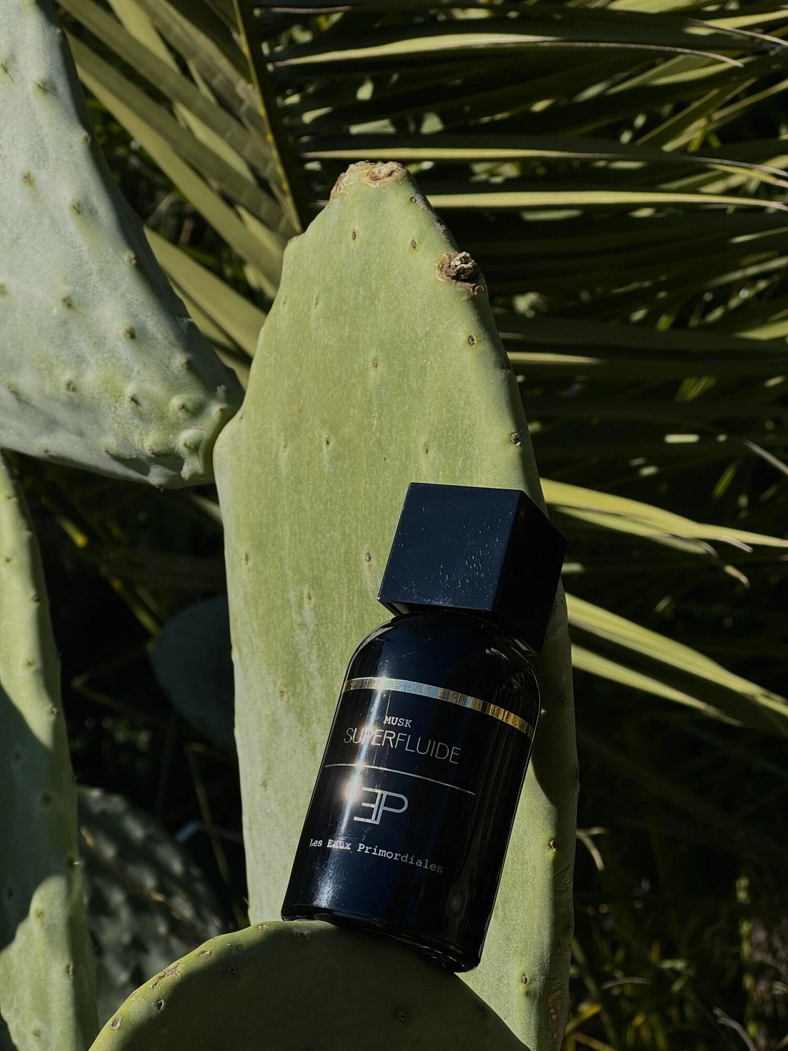 Les Eaux Primordiales Musk Superfluide