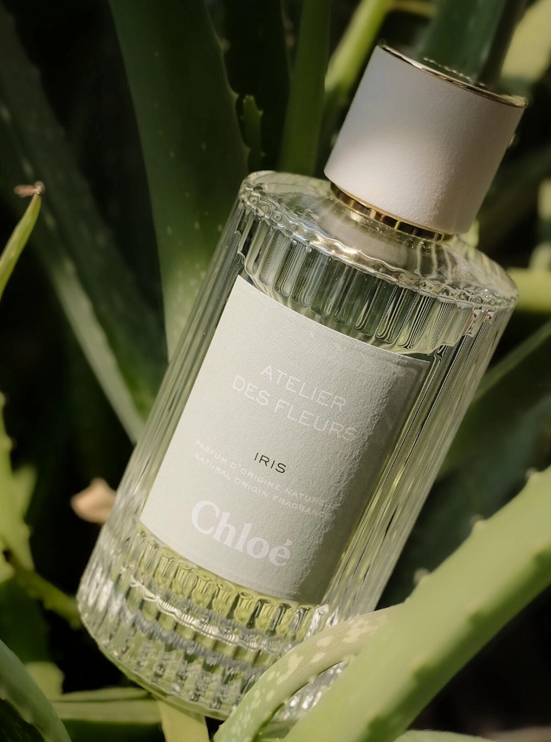 Chloe Atelier Des Fleurs Iris