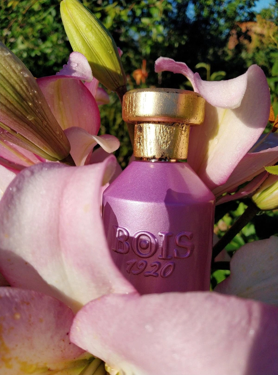 Bois 1920 La Vaniglia Bois 1920 La Vaniglia