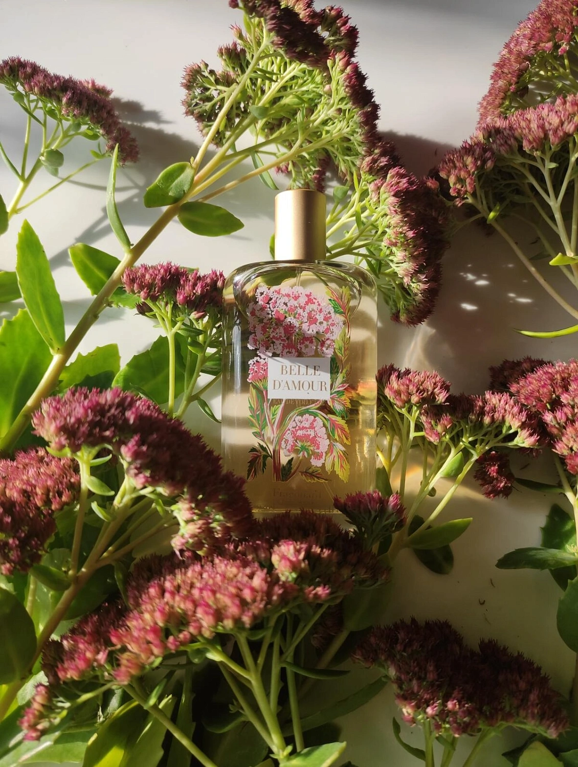 Fragonard Belle d'Amour