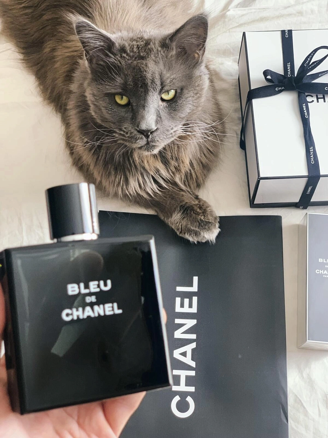 Bleu de Chanel
