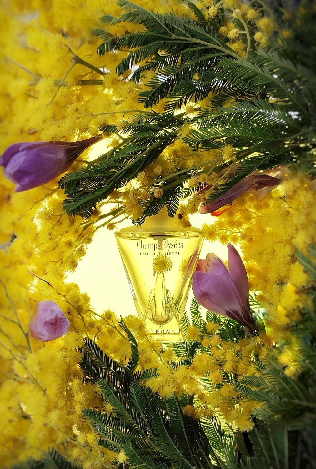 Guerlain Champs Elysees