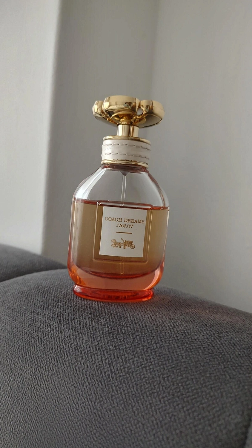 Coach Dreams Sunset Coach Dreams Sunset