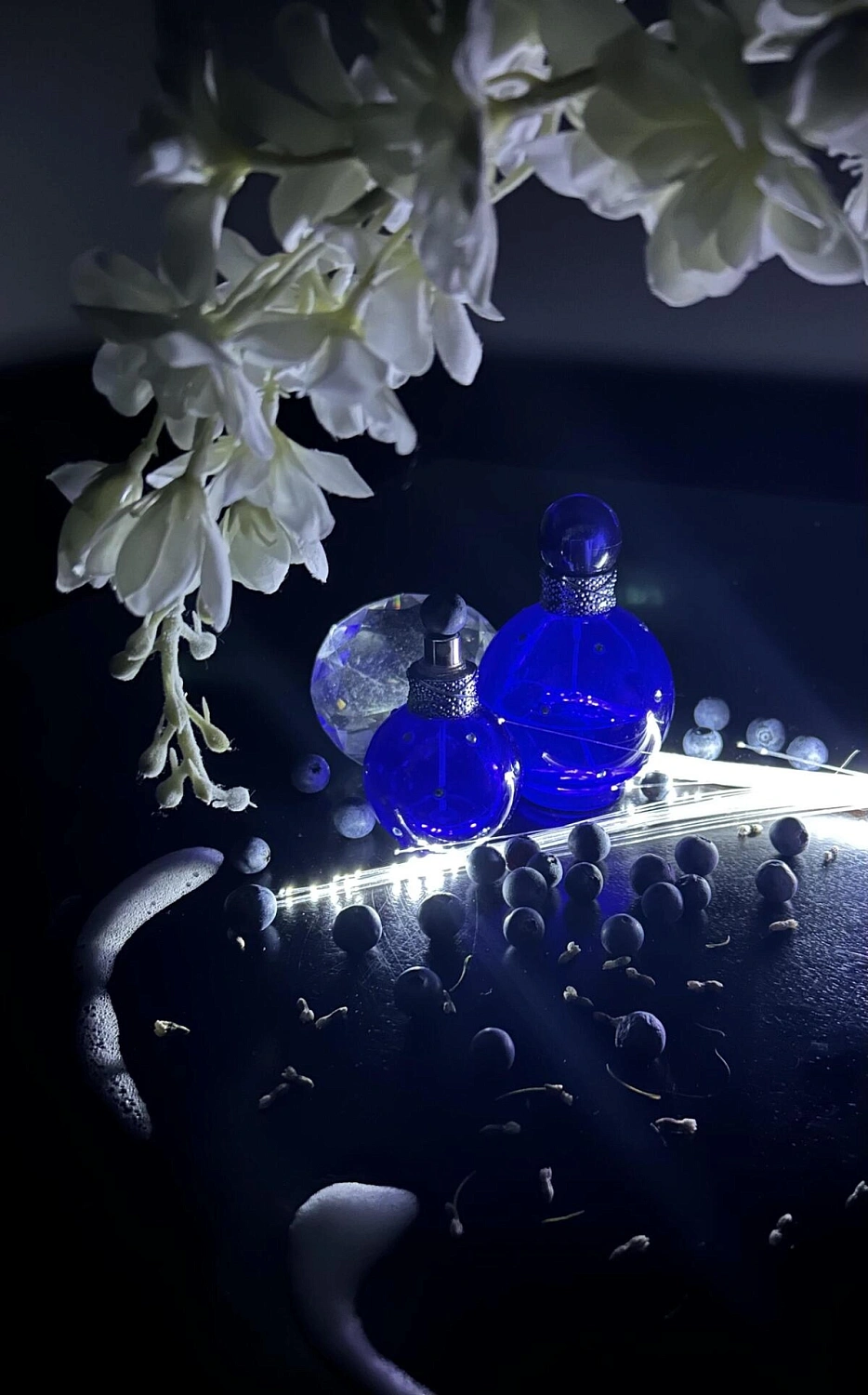 Britney Spears Midnight Fantasy