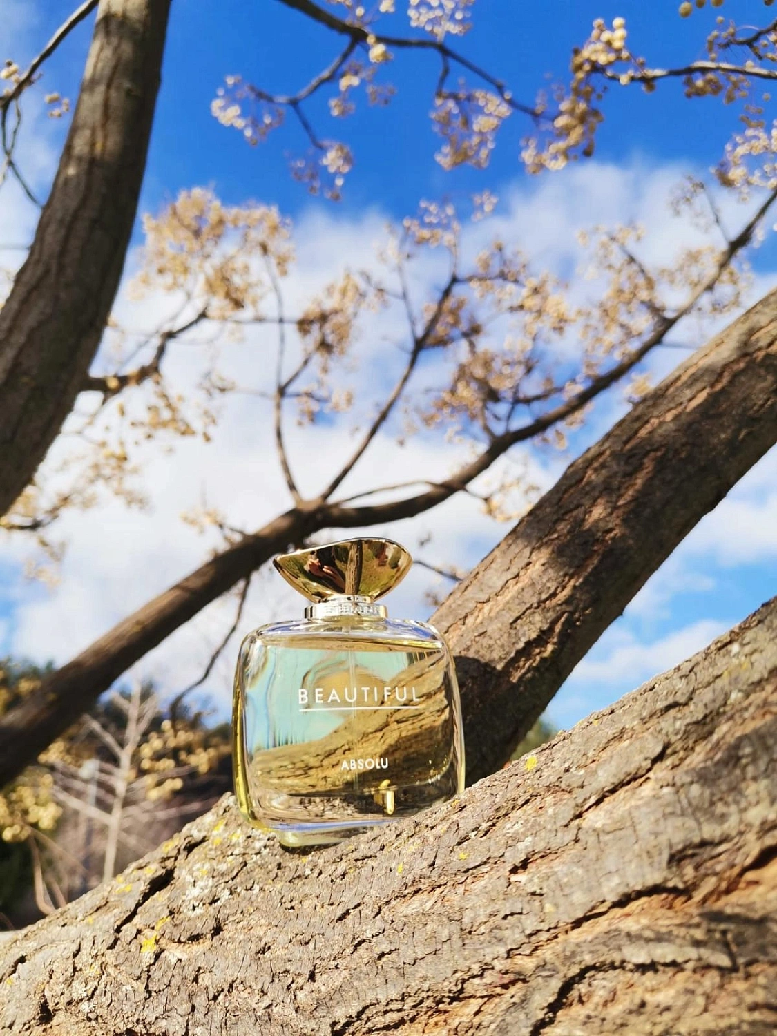 Estee Lauder Beautiful Absolu Estee Lauder Beautiful Absolu