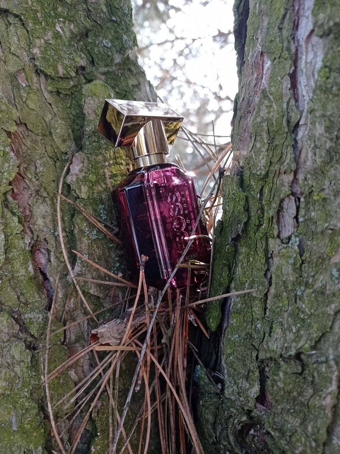 HUGO BOSS Boss The Scent For Her Magnetic HUGO BOSS Boss The Scent For Her Magnetic