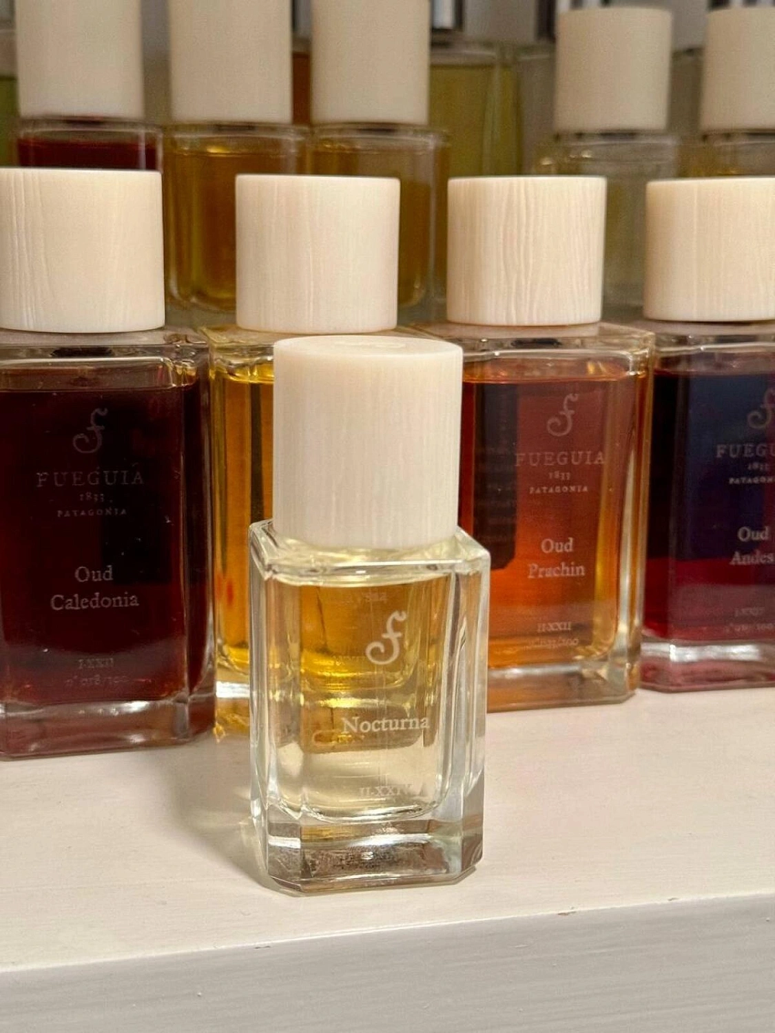 Fueguia 1833 Nocturna