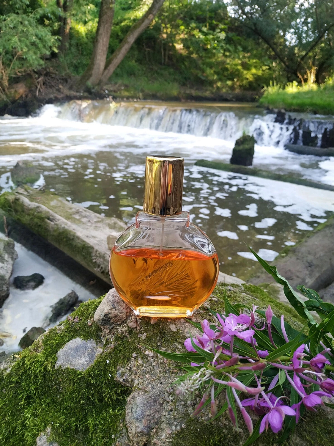 Gloria Vanderbilt Vanderbilt