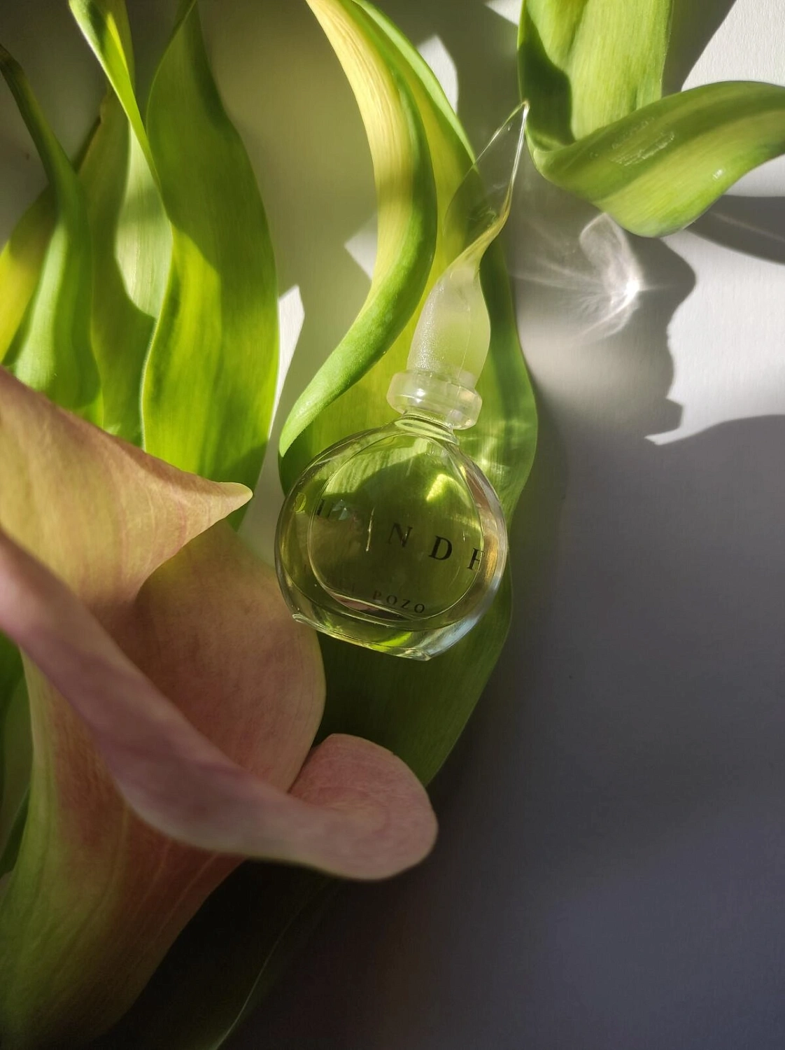 Jesus Del Pozo Duende