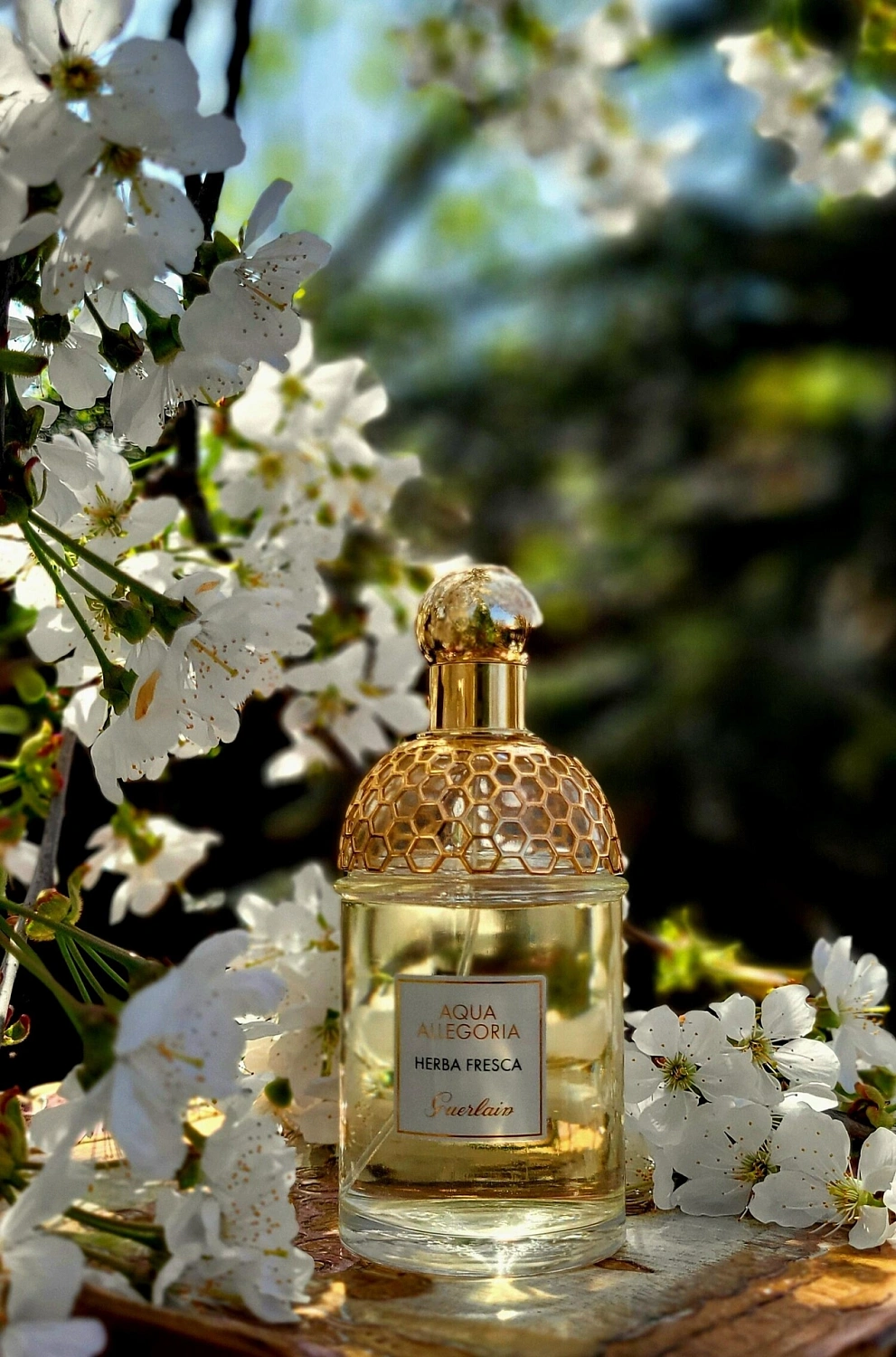 Guerlain Aqua Allegoria Herba Fresca
