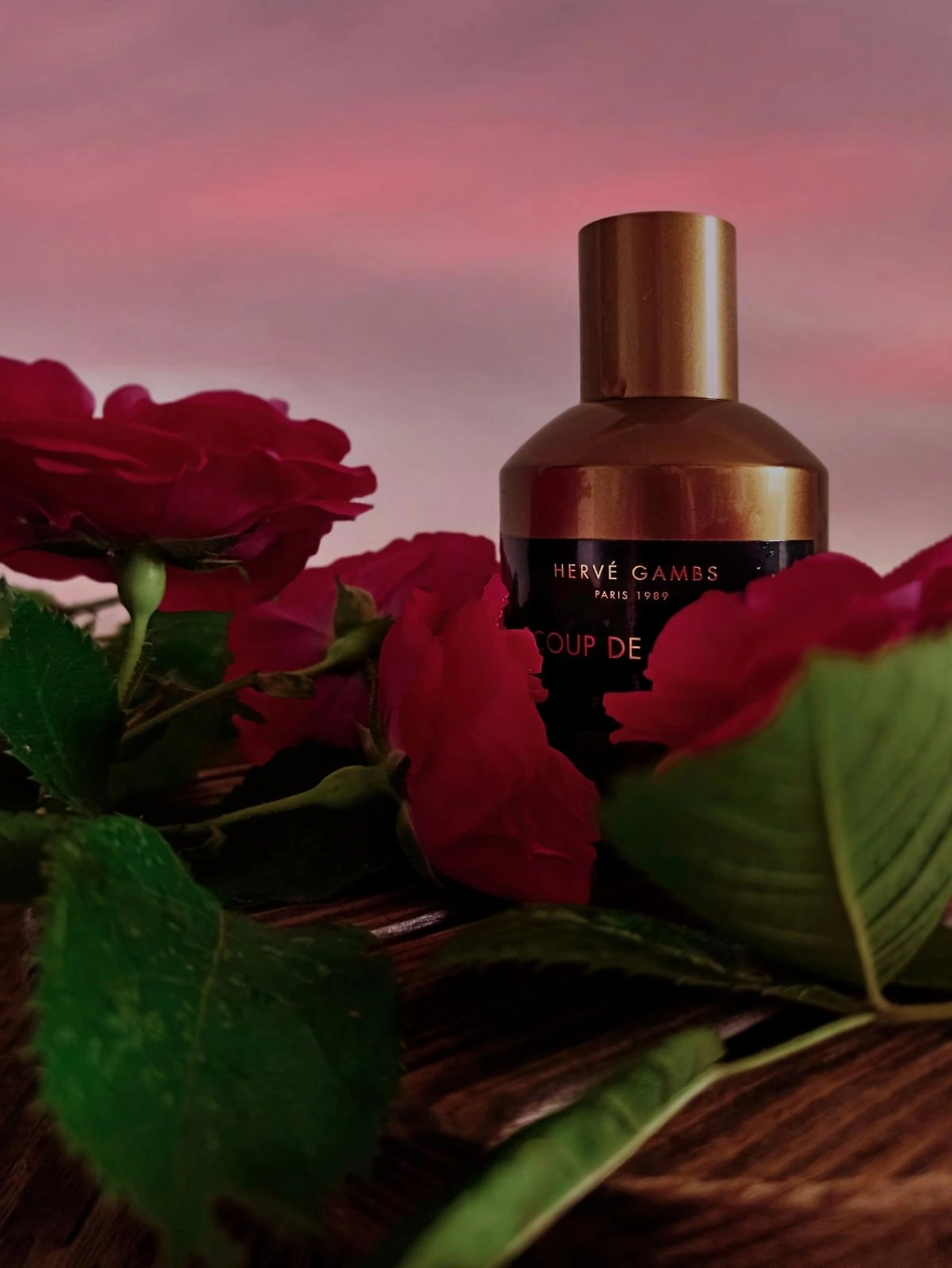 Herve Gambs Coup de Grace