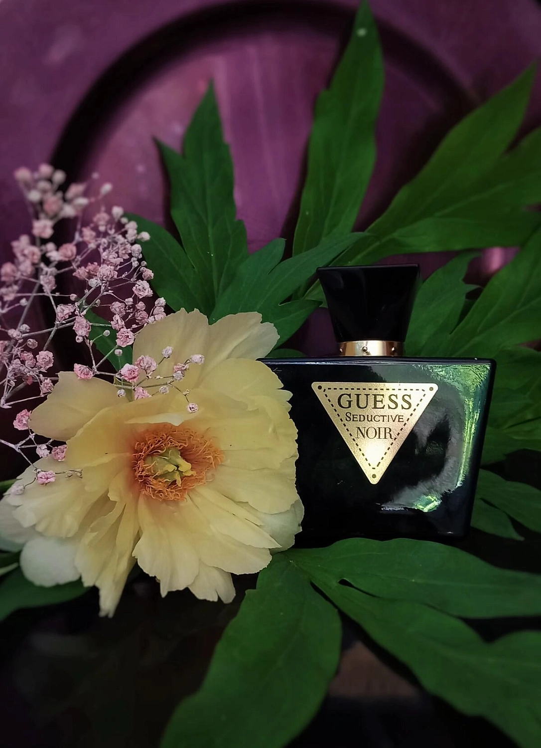 Guess Seductive Noir Guess Seductive Noir