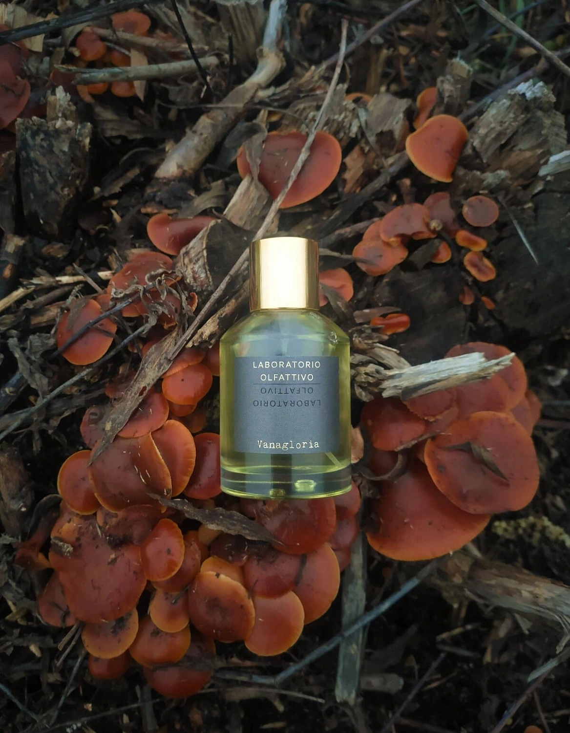Laboratorio Olfattivo Vanagloria