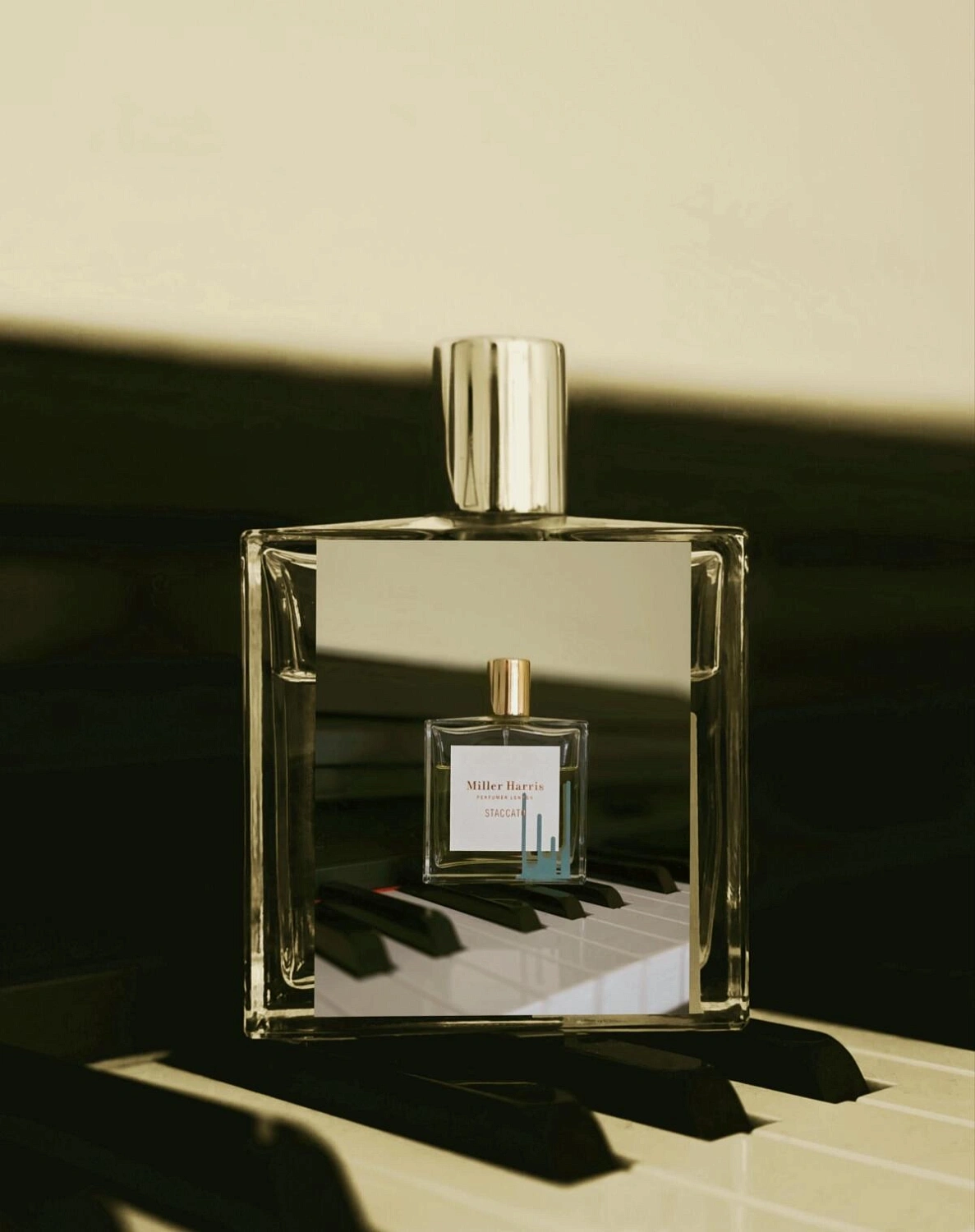 Miller Harris Staccato