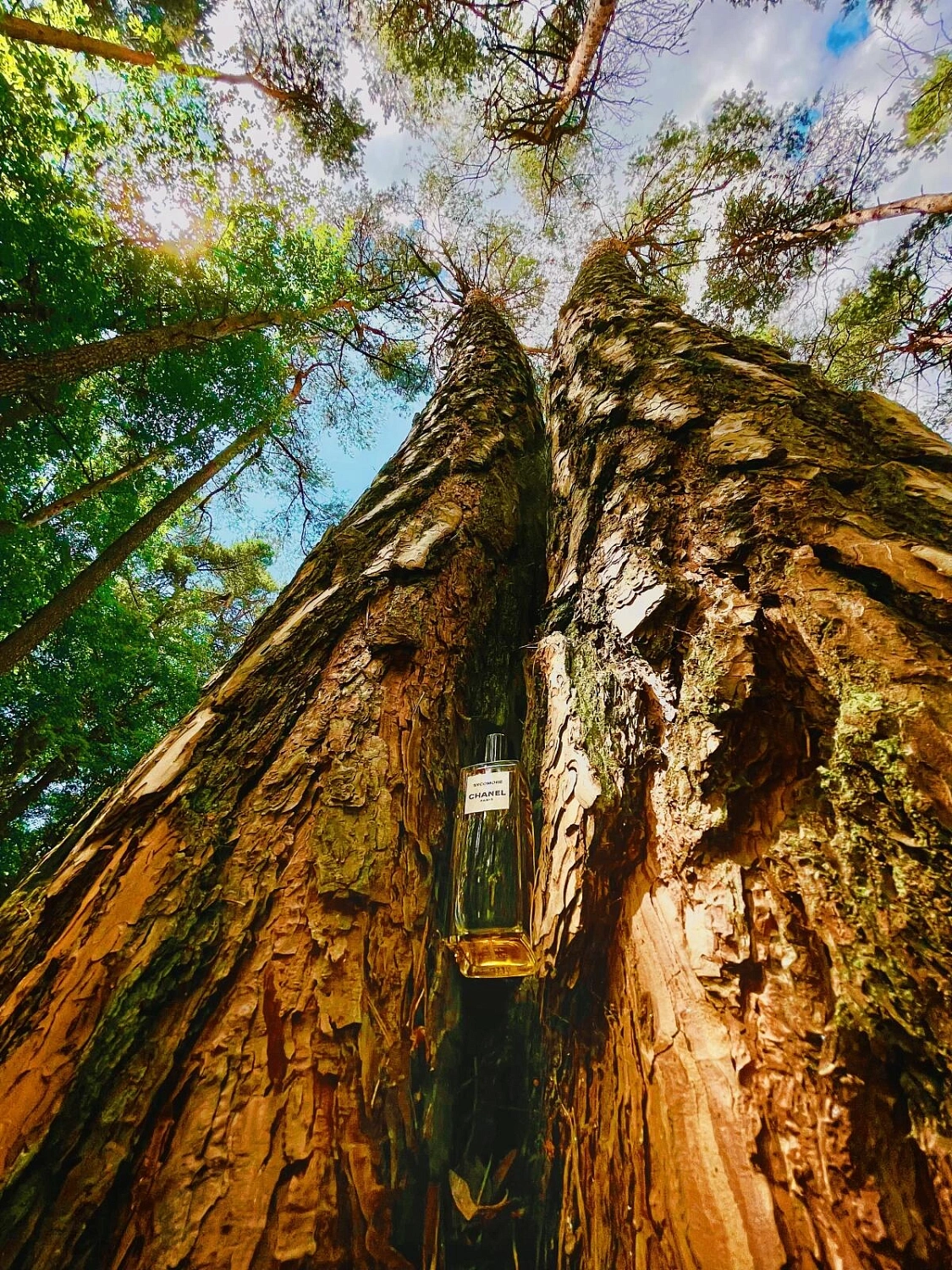 Chanel Sycomore Eau de Parfum 2016