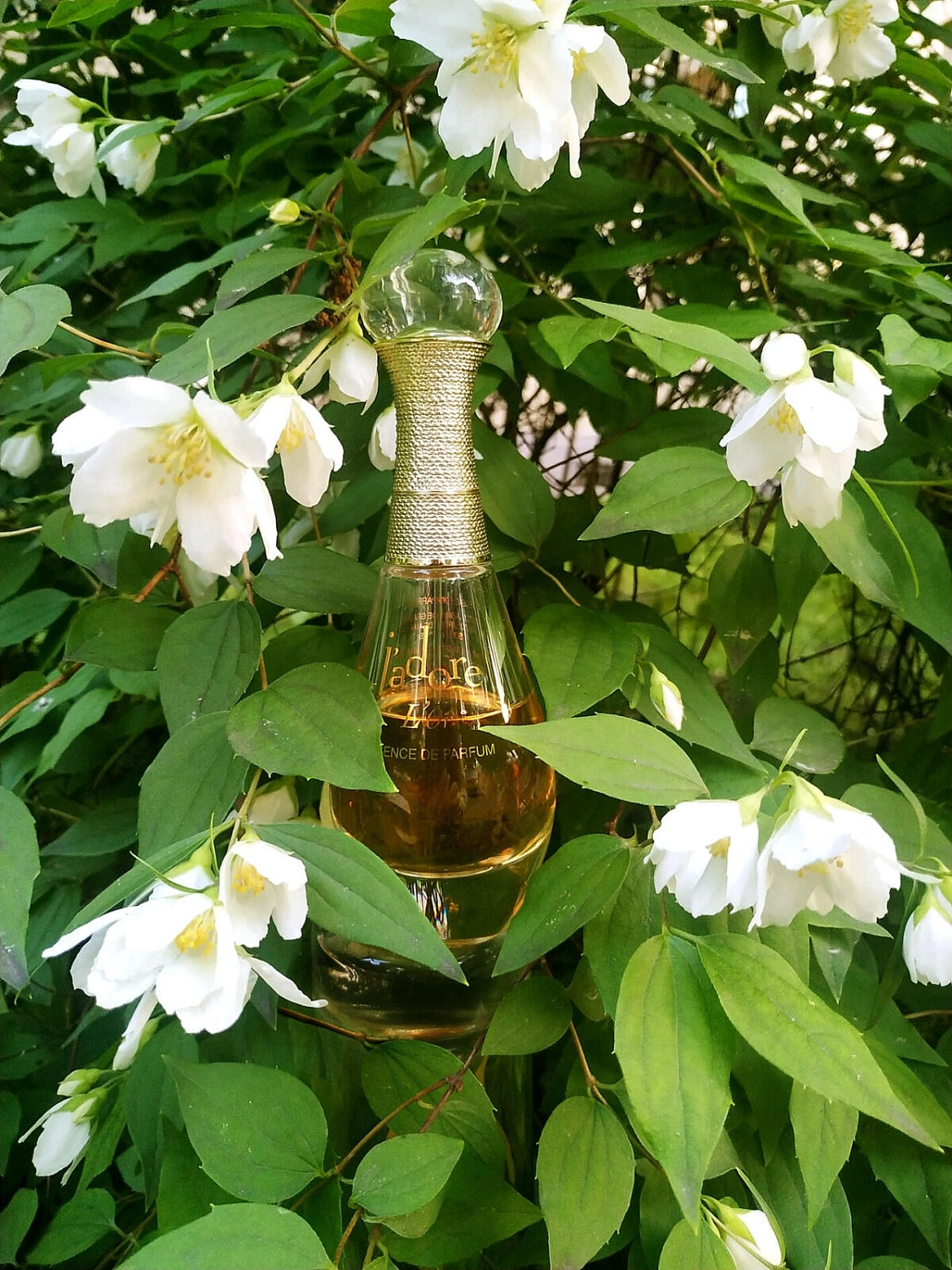 Christian Dior J’Adore L’Or