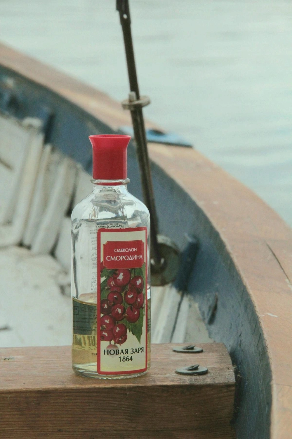 Novaya Zarya (Новая Заря) Смородина (Currant)