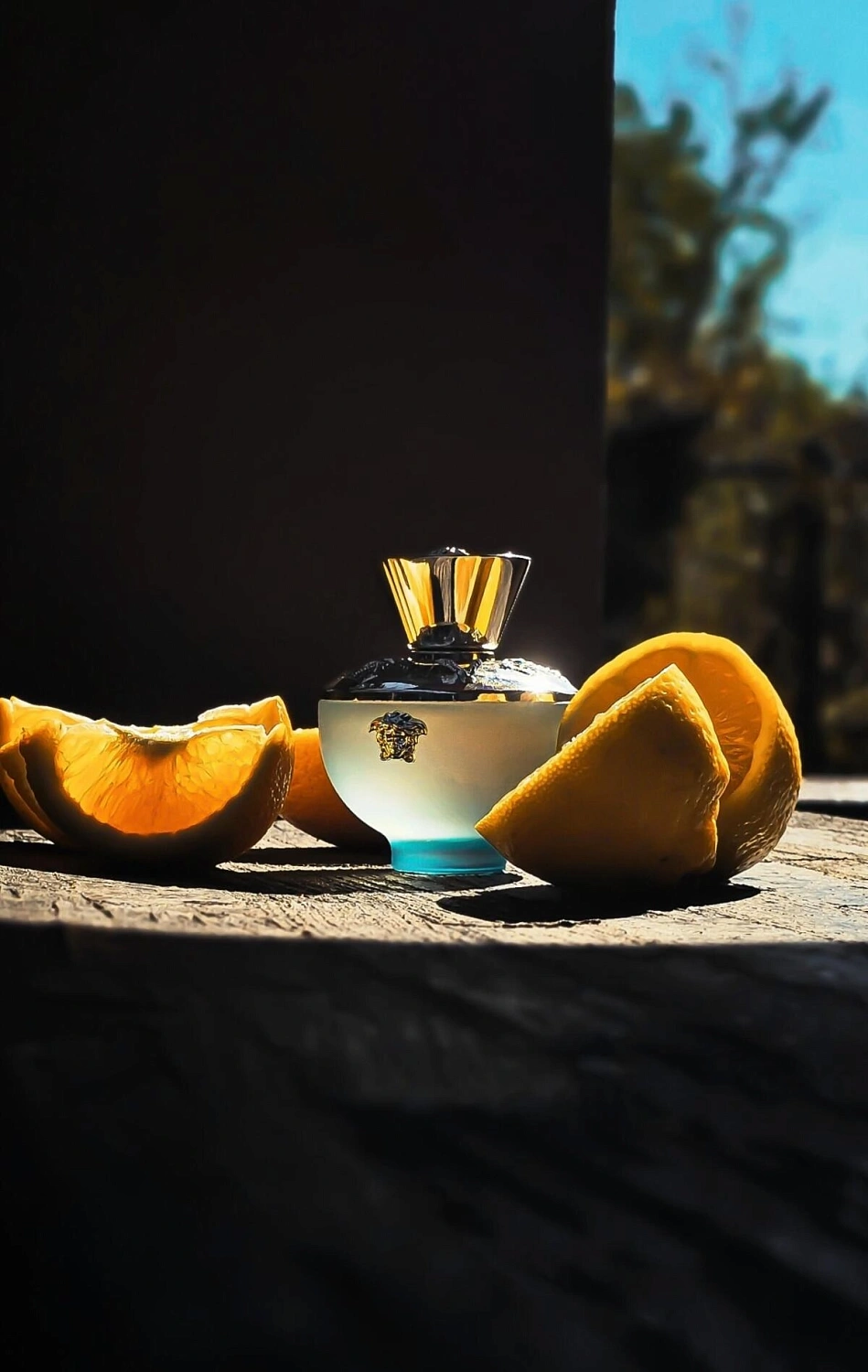 Versace Pour Femme Dylan Turquoise