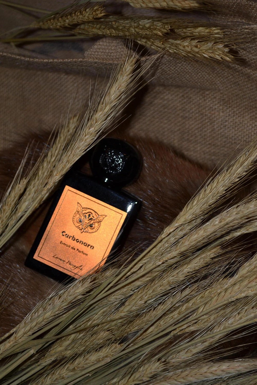 Lorenzo Pazzaglia Carbonara