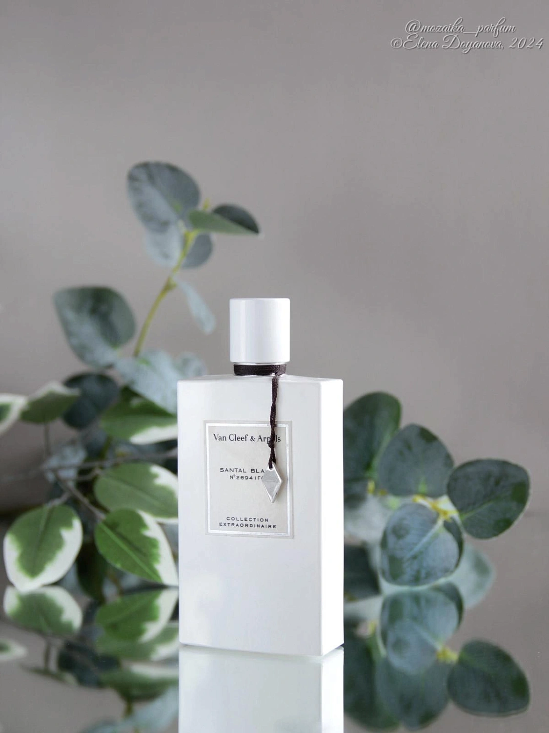 Van Cleef & Arpels Collection Extraordinaire Santal Blanc