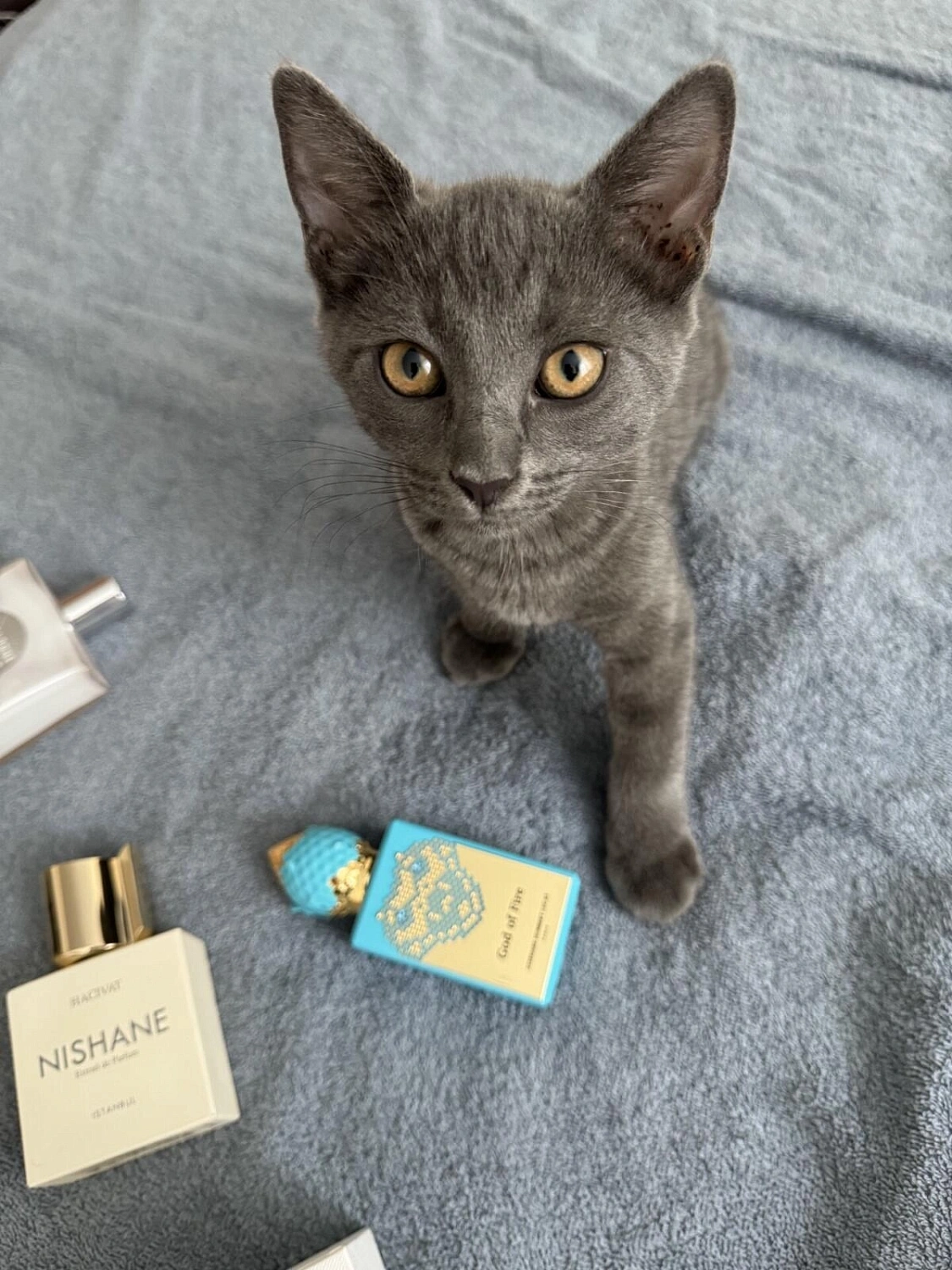 Stephane Humbert Lucas 777 God of Fire