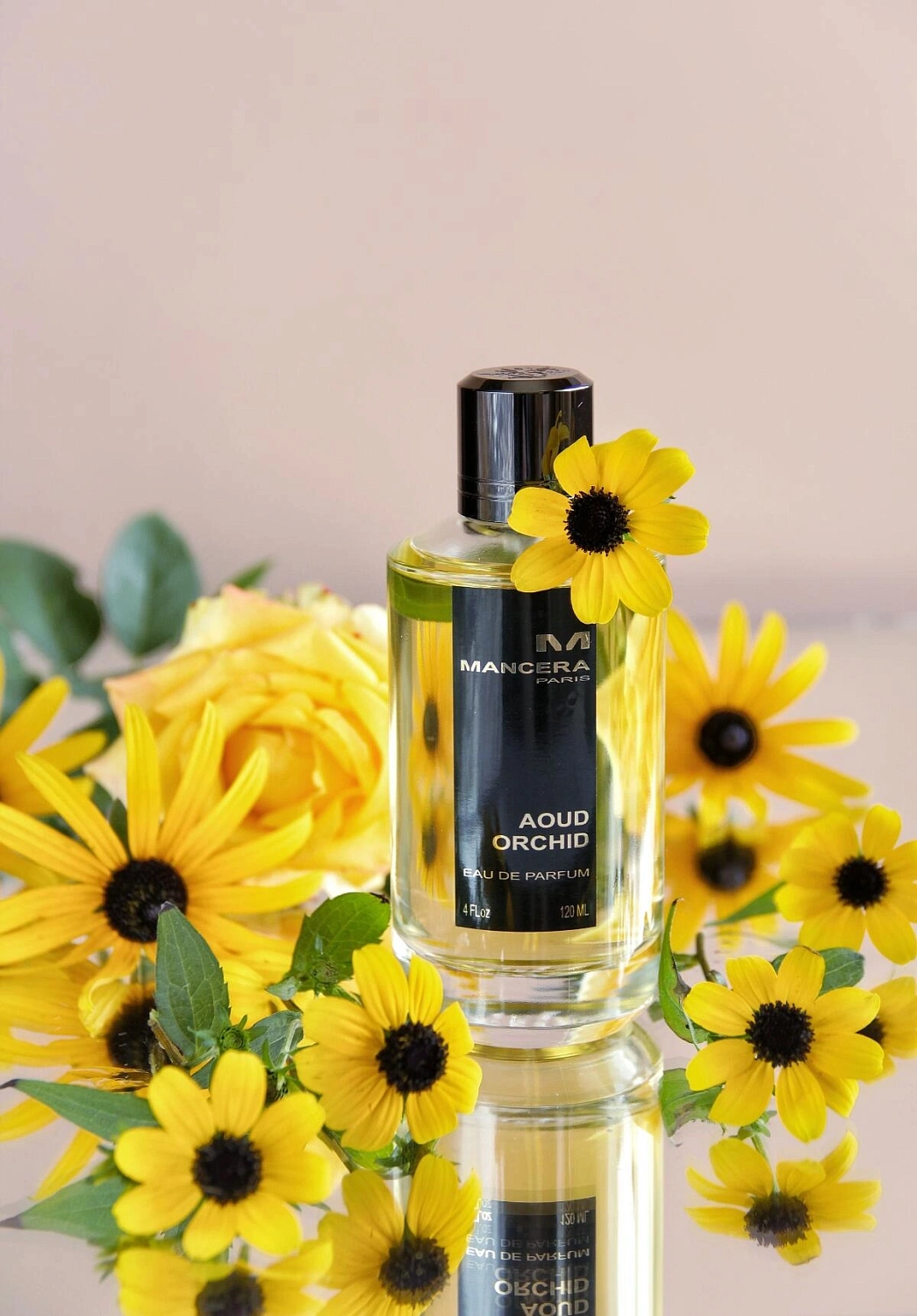 Mancera Aoud Orchid Mancera Aoud Orchid