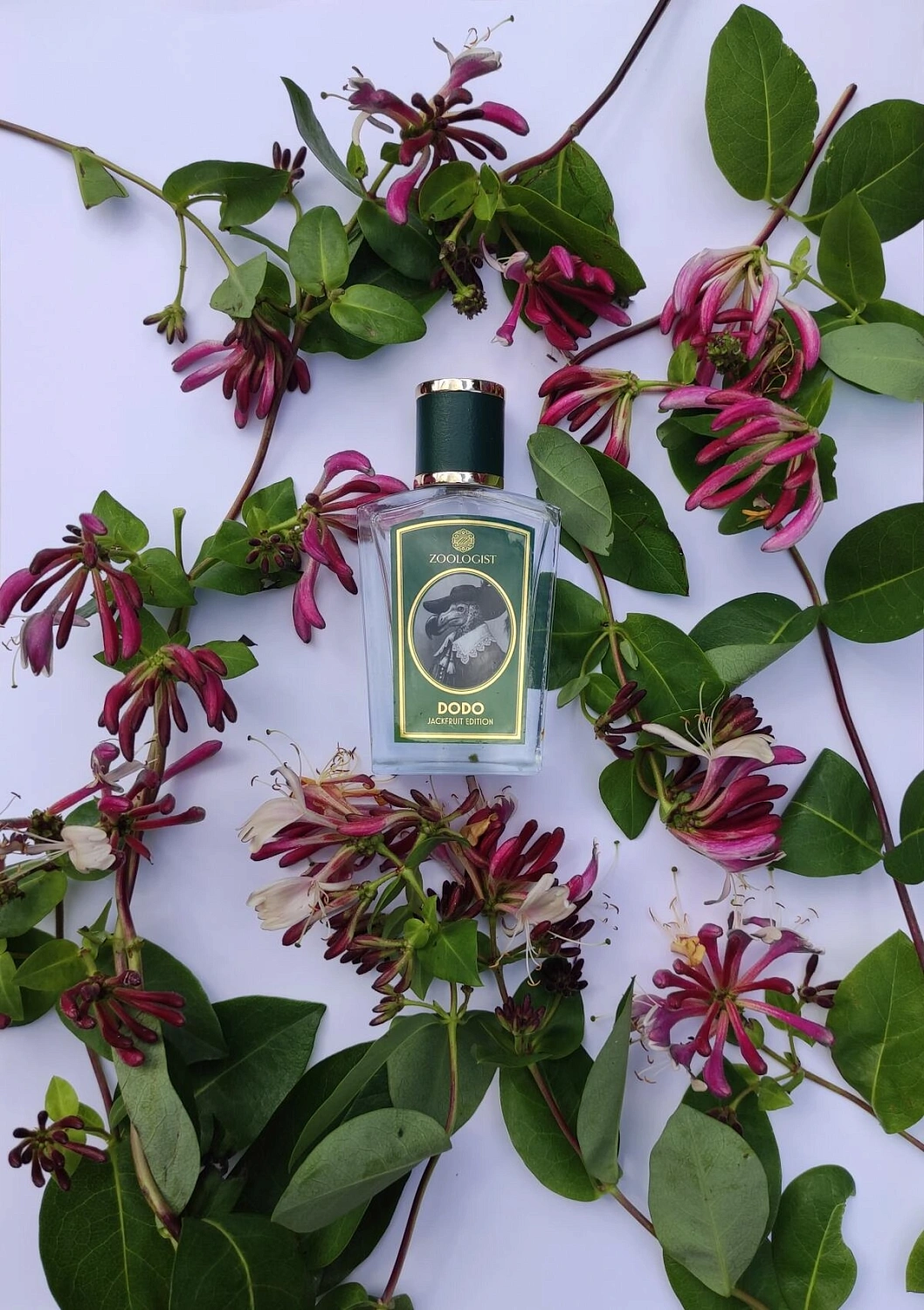 Zoologist Perfumes Dodo Jackfruit Edition