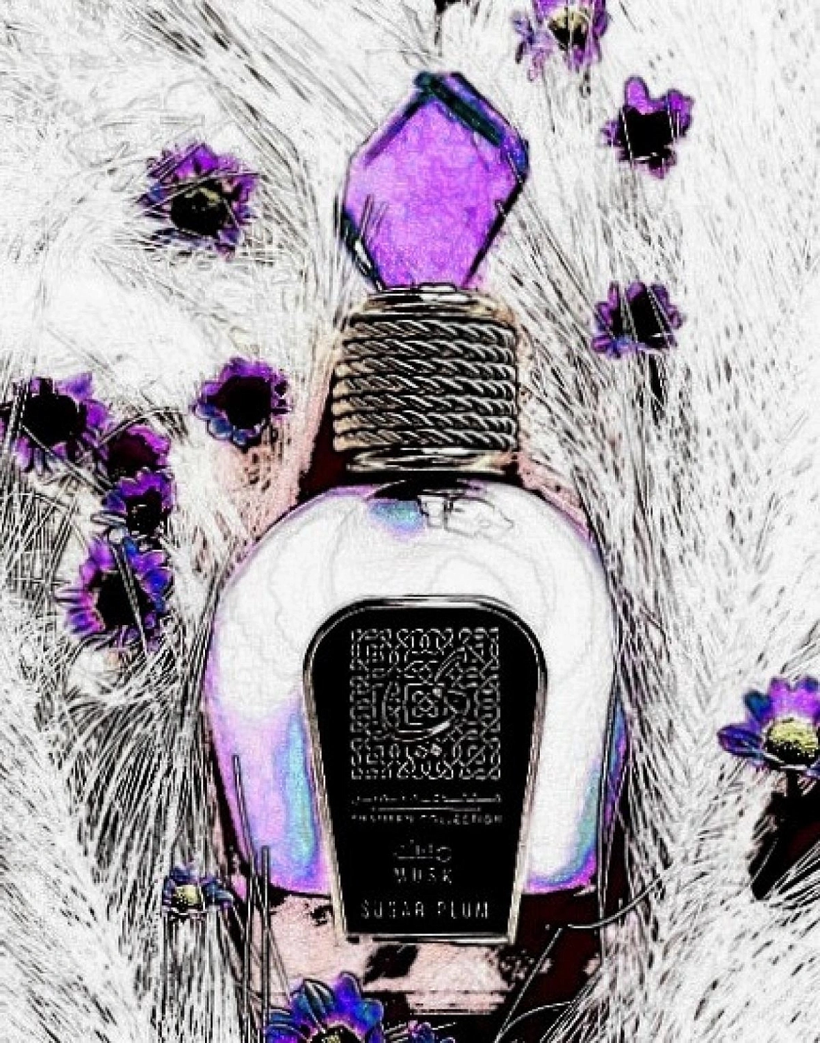 Lattafa Musk Sugar Plum