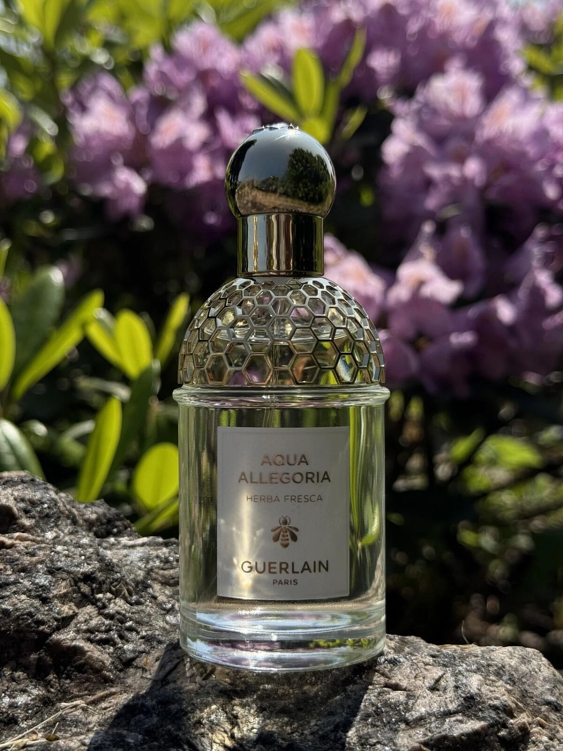 Guerlain Aqua Allegoria Herba Fresca