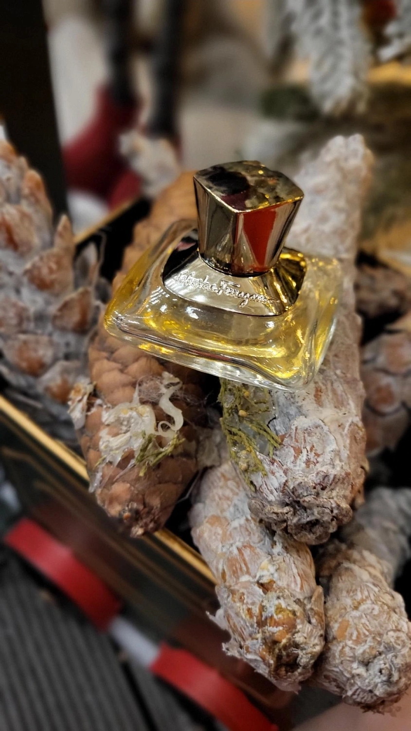 Salvatore Ferragamo Signorina Eleganza Salvatore Ferragamo Signorina Eleganza