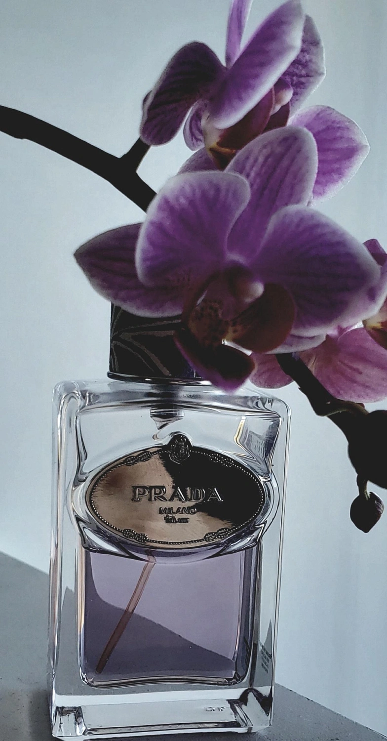 Prada Infusion de Tubereuse