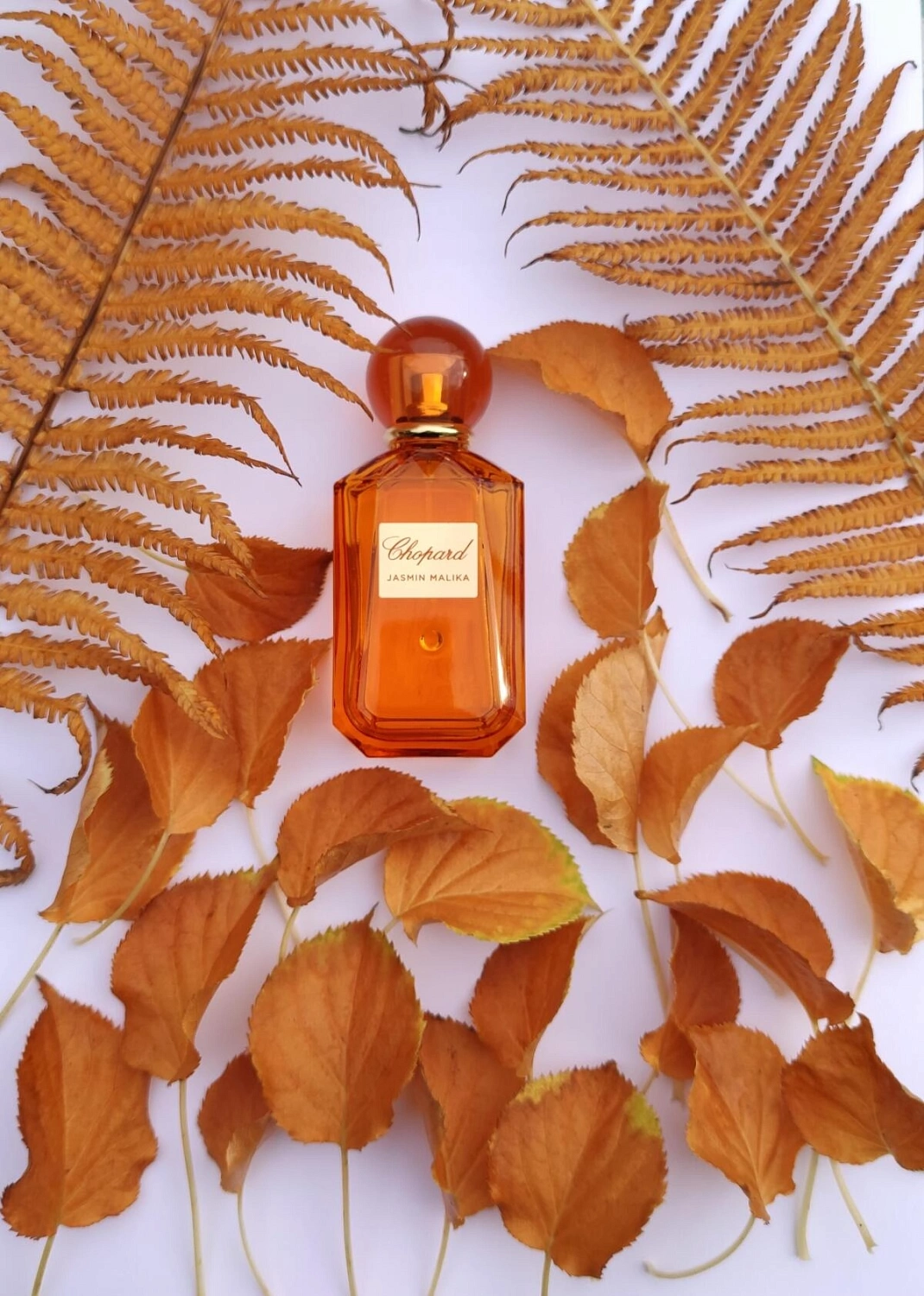 Chopard Jasmin Malika