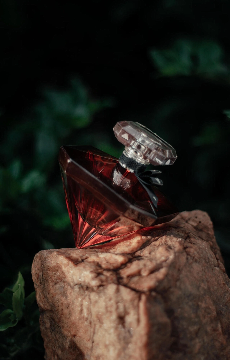 Lancome La Nuit Tresor a la Folie