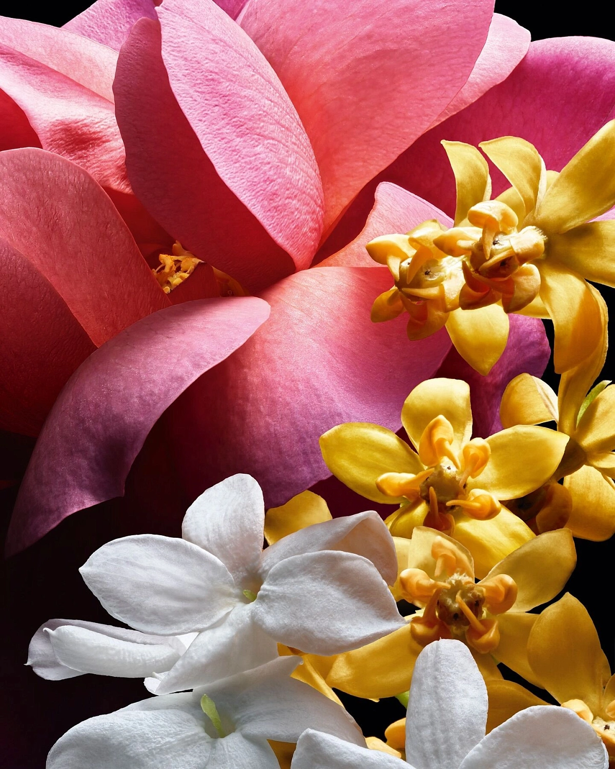 Guerlain Amour Celeste