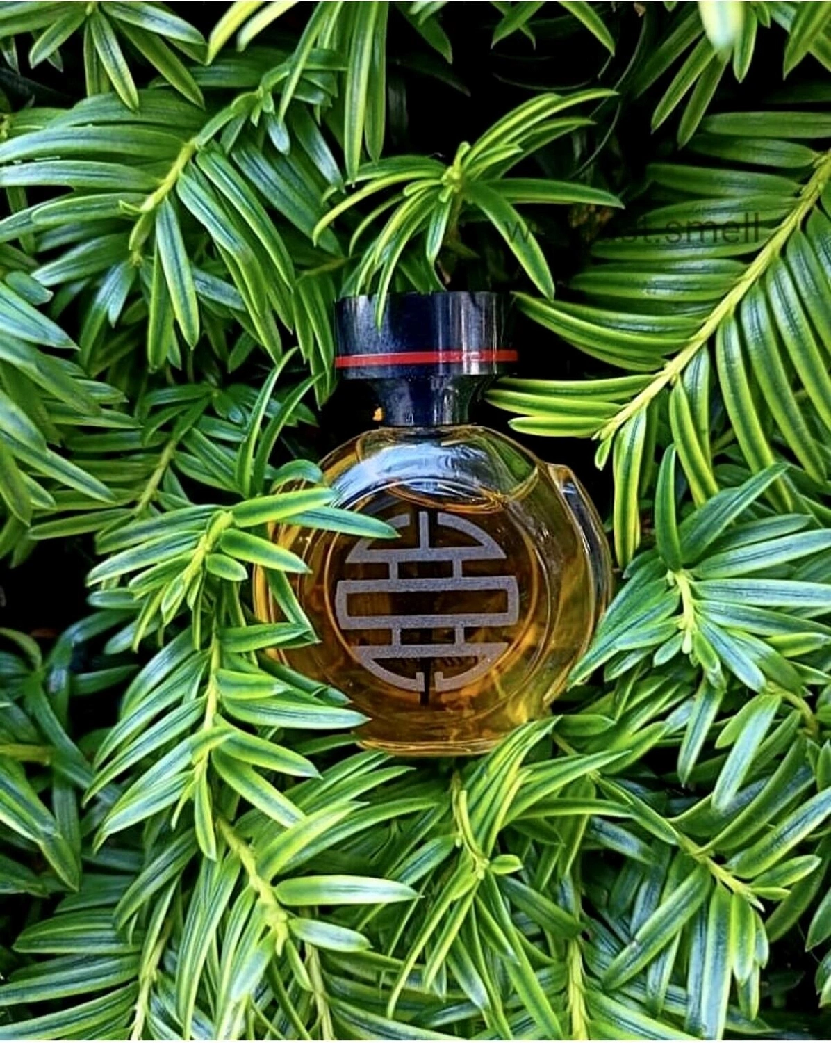 Cartier Le Baiser Du Dragon