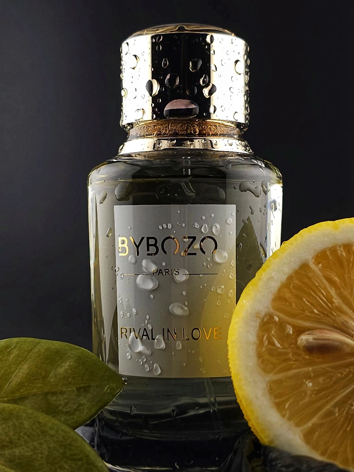 ByBozo Rival in Love