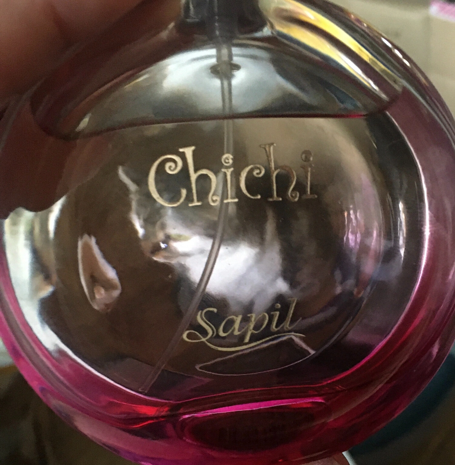 Sapil Chichi