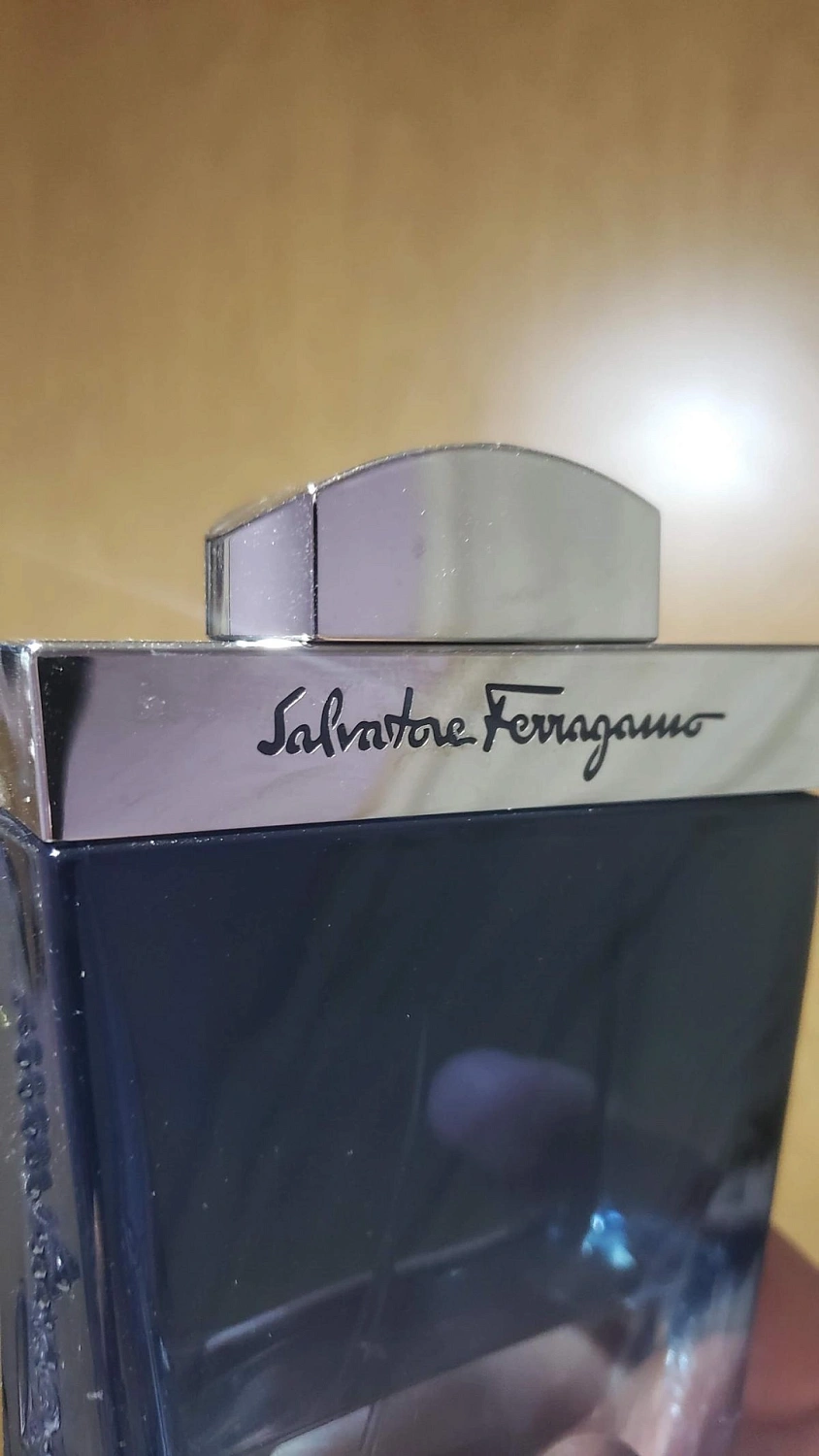 Salvatore Ferragamo Subtil Pour Homme
