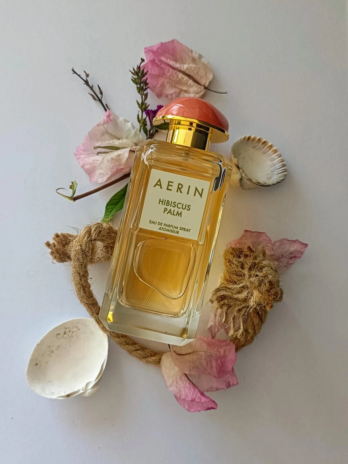 AERIN Hibiscus Palm AERIN Hibiscus Palm