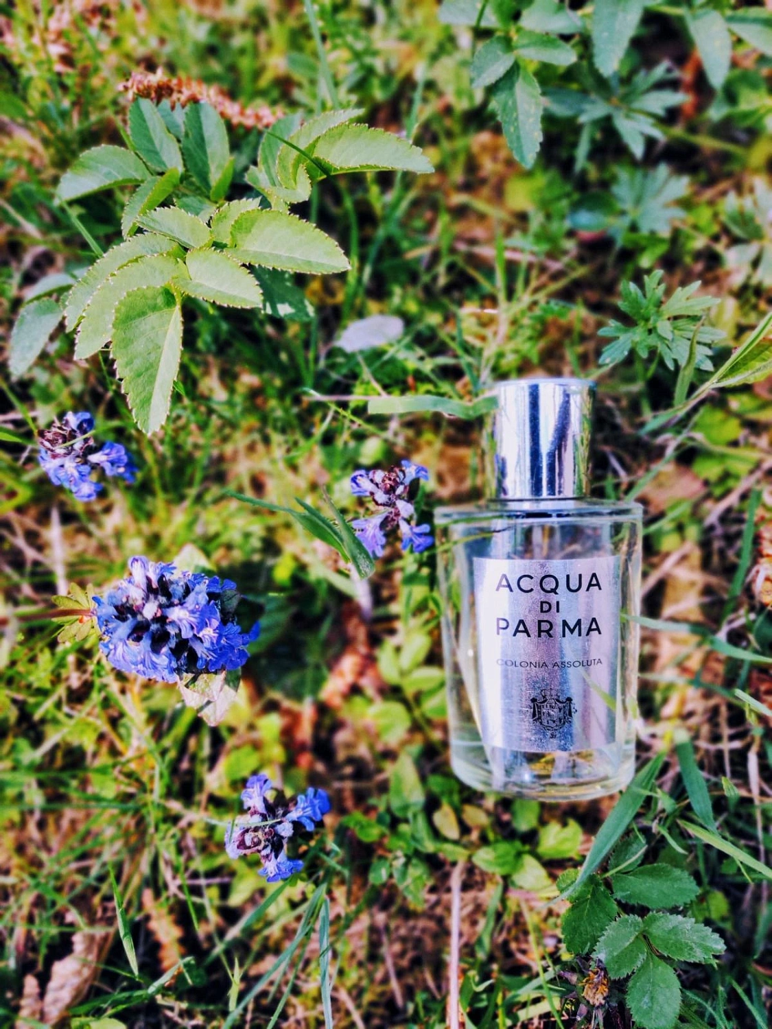 Acqua di Parma Colonia Assoluta